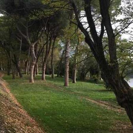 Pisa Appartamento Bonaini Zewnętrze zdjęcie